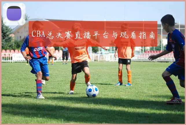 CBA总决赛直播平台与观看指南