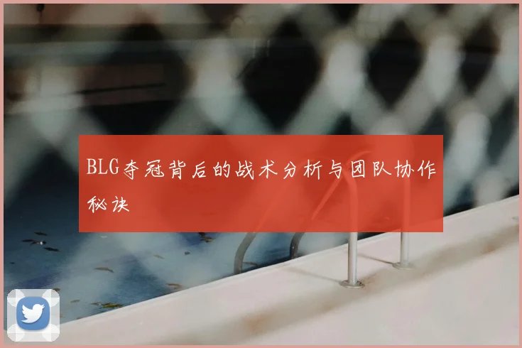 BLG夺冠背后的战术分析与团队协作秘诀